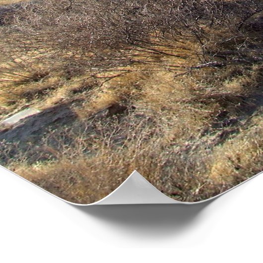 Mojave Desert scène 05 Poster (Hoek)