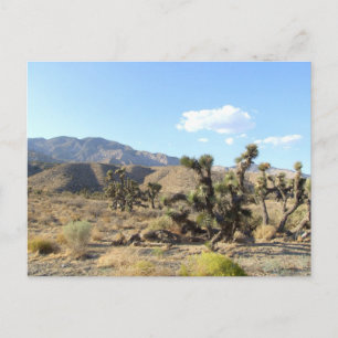 Mojave Desert scene 06 Briefkaart