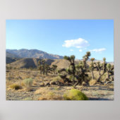 Mojave Desert scene 06 Poster (Voorkant)