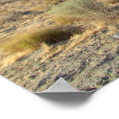 Mojave Desert scene 06 Poster (Hoek)
