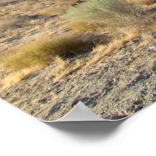 Mojave Desert scene 06 Poster (Hoek)