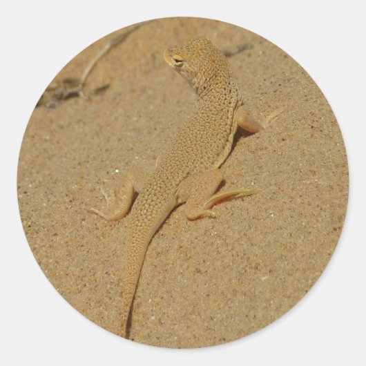 Mojave franjehagedis ronde sticker (Voorkant)