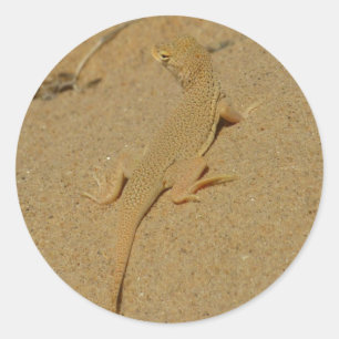 Mojave Fringe Toed Lizard Ronde Sticker