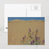 Mojave Indigo Bush en Kelso Dunes Briefkaart (Voorkant / Achterkant)