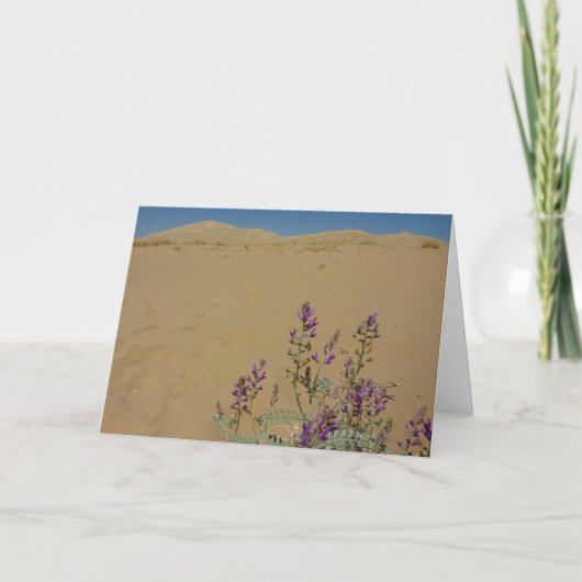 Mojave Indigo Bush en Kelso Dunes Kaart (Voorkant)