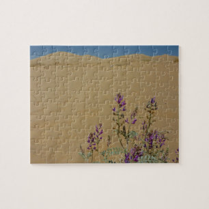 Mojave Indigo Bush en Kelso Dunes Legpuzzel