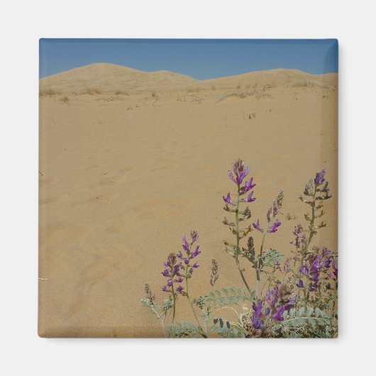 Mojave Indigo Bush en Kelso Dunes Magneet (Voorkant)