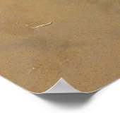 Mojave Indigo Bush en Kelso Dunes Poster (Hoek)