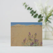 Mojave Indigo Struik en Kelso Dunes Briefkaart (Staand voorkant)