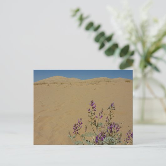 Mojave Indigo Struik en Kelso Dunes Briefkaart (Staand voorkant)