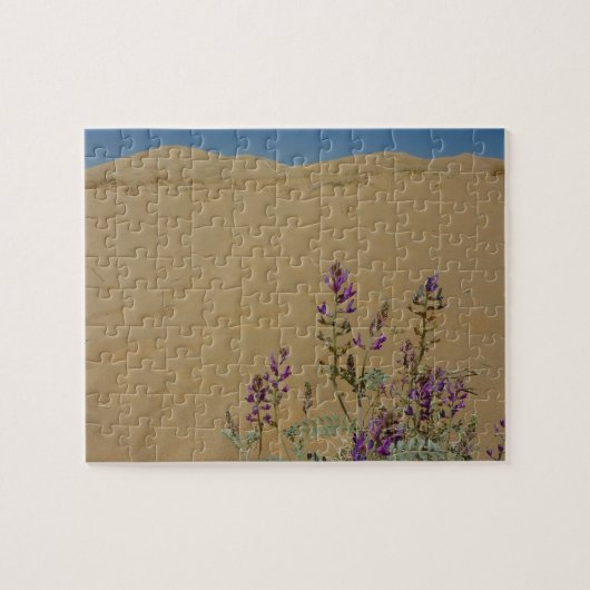 Mojave Indigo Struik en Kelso Dunes Legpuzzel (Horizontaal)