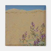 Mojave Indigo Struik en Kelso Dunes Magneet (Voorkant)