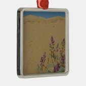 Mojave Indigo Struik en Kelso Dunes Metalen Ornament (Rechts)