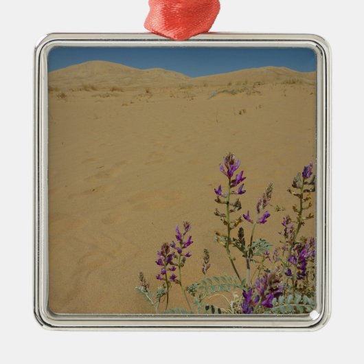 Mojave Indigo Struik en Kelso Dunes Metalen Ornament (Voorkant)