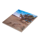 Mojave Joshua Tree Tegeltje (Zijkant)