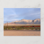 Mojave National Preserve California Briefkaart (Voorkant)