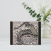 Mojave Rattlesnake Briefkaart (Staand voorkant)