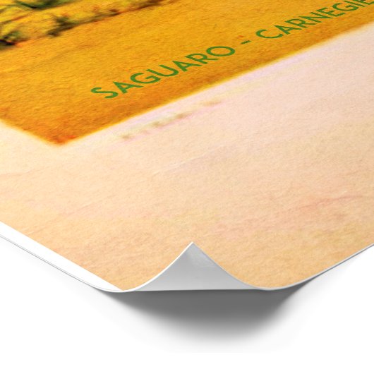 Mojave-reisposter Poster (Hoek)