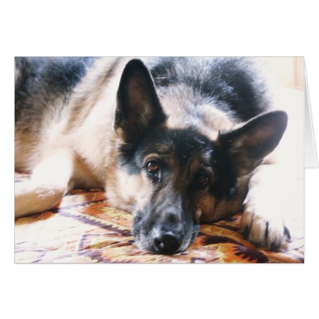 Mojia (Voorkant Horizontaal)