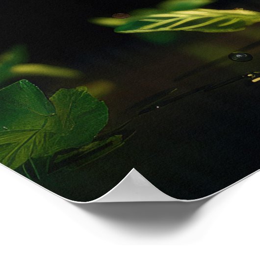 Mojito Cocktails Poster (Hoek)