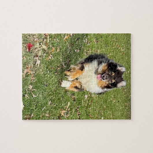 Mojo - Australian Shepherd Legpuzzel (Horizontaal)