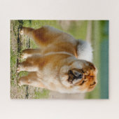 Mojo Chow Jigzaag Puzzle Legpuzzel (Horizontaal)