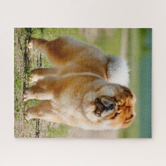 Mojo Chow Jigzaag Puzzle Legpuzzel (Horizontaal)