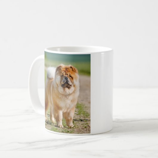 Mojo Chow mok (Voorkant links)