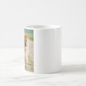 Mojo Chow mok (Center)