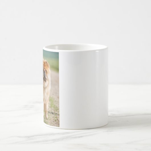 Mojo Chow mok (Center)