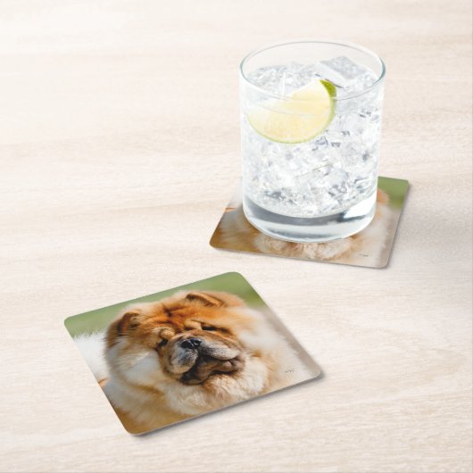 Mojo Chow Onderzetter (Insitu)