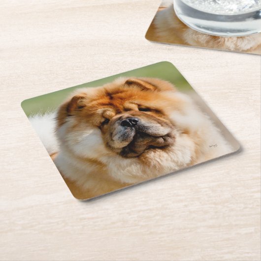 Mojo Chow Onderzetter (Schuin)