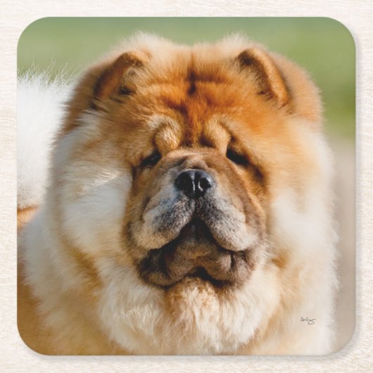 Mojo Chow Onderzetter (Voorkant)