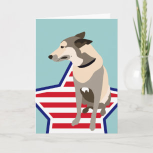Mojo de Belgische Shepherd Kaart