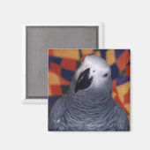 Mojo Magneet (Voorkant / Achterkant)