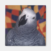 Mojo Magneet (Voorkant)