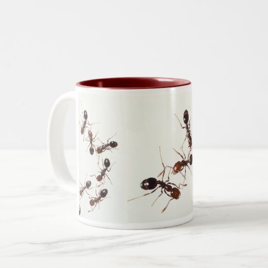 mok (Voorkant links)