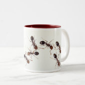 mok (Voorkant rechts)