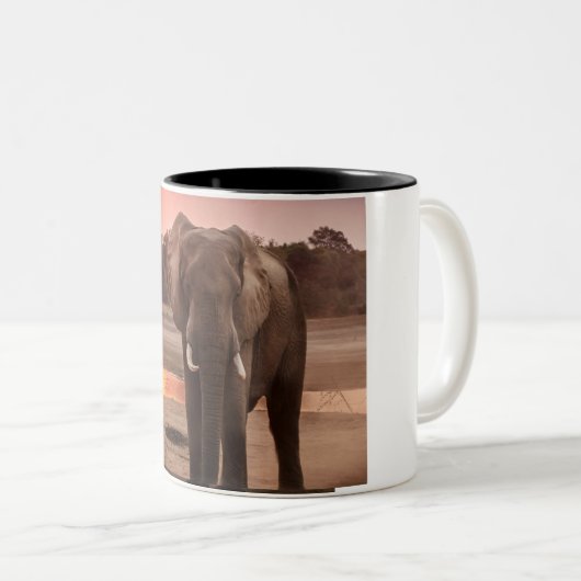 Mok (Voorkant rechts)