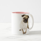 mok (Voorkant rechts)