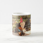 Mok-2007 SCNA National Champion Koffiemok (Center)