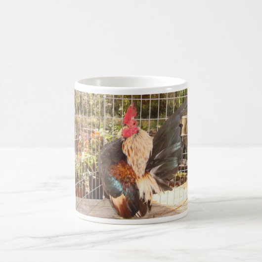 Mok-2007 SCNA National Champion Koffiemok (Center)