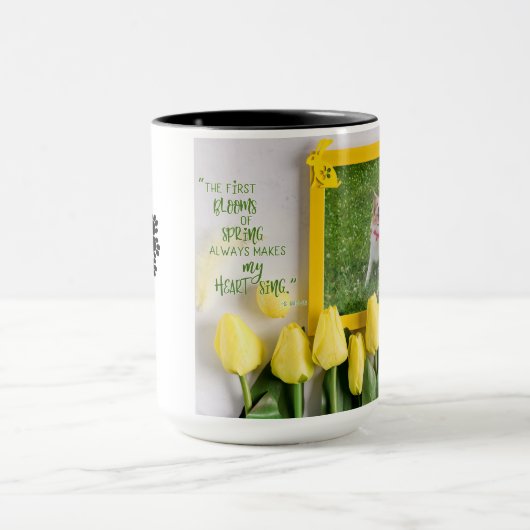 mok 2022 van de Zuidpoolweek van Ioney (Midden)