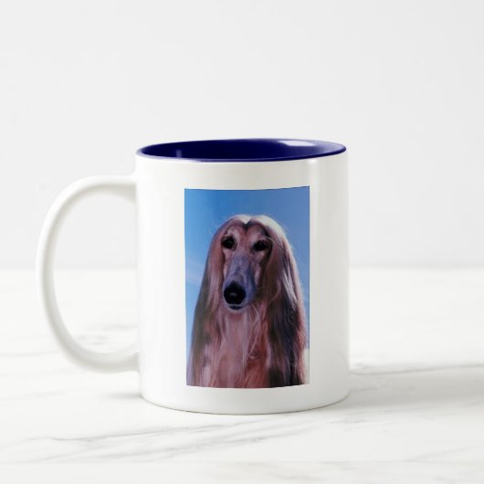 Mok Afghaanse hond (Links)