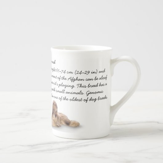 Mok Afghaanse hond (Rechts)