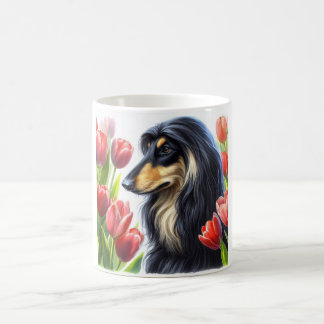 Mok Afghaanse hond