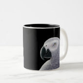 Mok Afrikaanse grijze papegaai (Voorkant rechts)