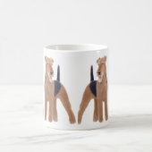 Mok Airedale Terriers (Center)