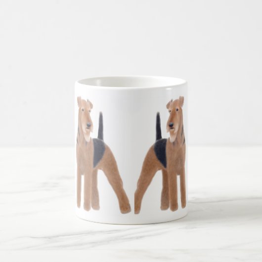 Mok Airedale Terriers (Center)