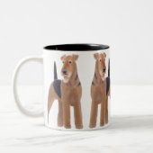 Mok Airedale Terriers (Links)